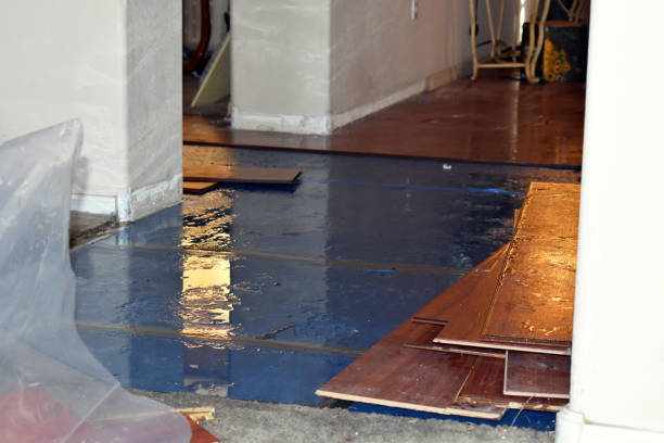 Professional Sewage Cleanup technician working in Cecil, OH